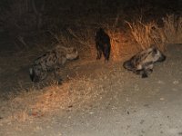 Marion, Romane South Africa 2014 (63 of 63) : KNP Letaba nightdrive, Marion visit